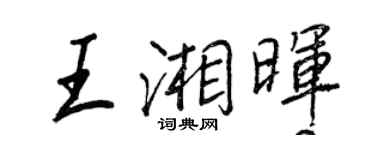 王正良王湘暉行書個性簽名怎么寫