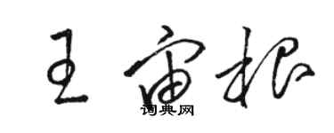 駱恆光王宙根草書個性簽名怎么寫