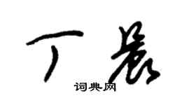 朱錫榮丁晨草書個性簽名怎么寫