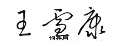 駱恆光王雪康草書個性簽名怎么寫