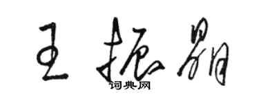 駱恆光王振晶草書個性簽名怎么寫