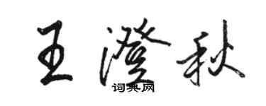 駱恆光王澄秋行書個性簽名怎么寫