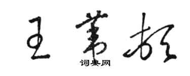 駱恆光王葦頓草書個性簽名怎么寫