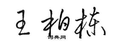 駱恆光王柏棟草書個性簽名怎么寫