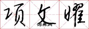 項文曜怎么寫好看