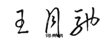 駱恆光王月馳草書個性簽名怎么寫