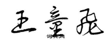 曾慶福王童飛草書個性簽名怎么寫