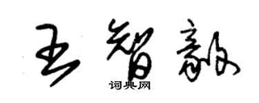 朱錫榮王智毅草書個性簽名怎么寫