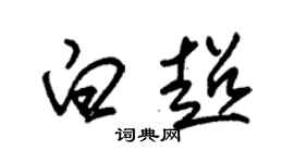 朱錫榮白超草書個性簽名怎么寫