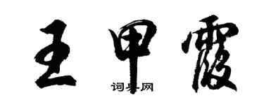 胡問遂王甲霞行書個性簽名怎么寫