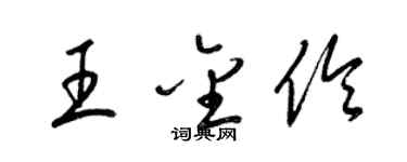 梁錦英王金伶草書個性簽名怎么寫