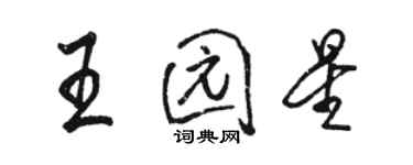 駱恆光王園星行書個性簽名怎么寫