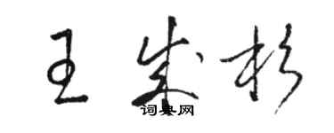 駱恆光王成杉草書個性簽名怎么寫