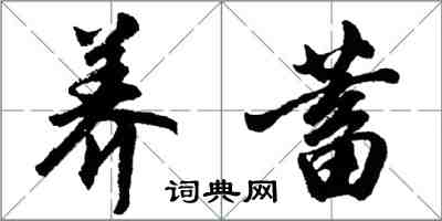 胡問遂養蓄行書怎么寫