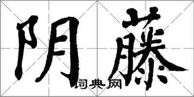 翁闓運陰藤楷書怎么寫