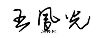 朱錫榮王鳳光草書個性簽名怎么寫