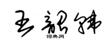 朱錫榮王韶韓草書個性簽名怎么寫