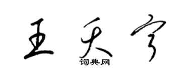 梁錦英王夭寧草書個性簽名怎么寫