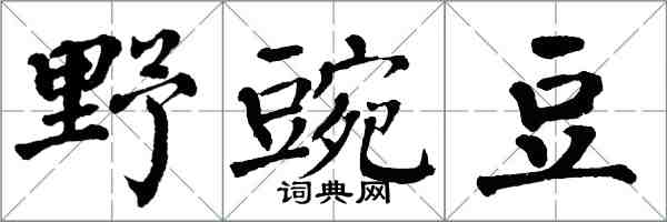 翁闓運野豌豆楷書怎么寫