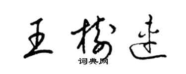 梁錦英王樹連草書個性簽名怎么寫