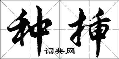 胡問遂種插行書怎么寫