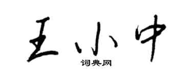 王正良王小中行書個性簽名怎么寫