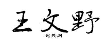 曾慶福王文野行書個性簽名怎么寫