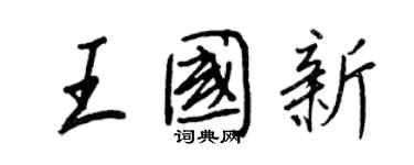 王正良王國新行書個性簽名怎么寫