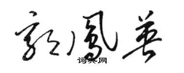駱恆光郭鳳英草書個性簽名怎么寫