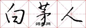 白茅人怎么寫好看