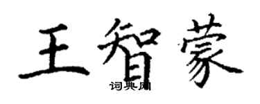 丁謙王智蒙楷書個性簽名怎么寫