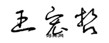 曾慶福王宏哲草書個性簽名怎么寫