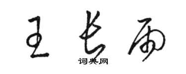 駱恆光王長雨草書個性簽名怎么寫