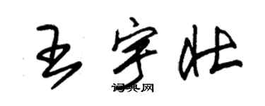 朱錫榮王宇壯草書個性簽名怎么寫