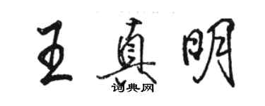 駱恆光王真明行書個性簽名怎么寫