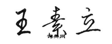 駱恆光王素立行書個性簽名怎么寫