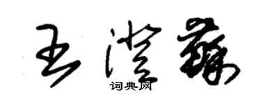 朱錫榮王澄蘇草書個性簽名怎么寫