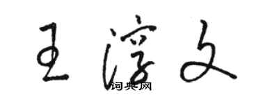 駱恆光王淳文草書個性簽名怎么寫