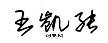 朱錫榮王凱能草書個性簽名怎么寫