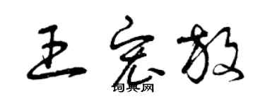 曾慶福王宏放草書個性簽名怎么寫