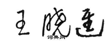 駱恆光王曉進草書個性簽名怎么寫