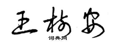 曾慶福王樹安草書個性簽名怎么寫