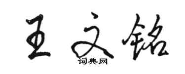 駱恆光王文銘行書個性簽名怎么寫