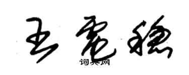 朱錫榮王電穩草書個性簽名怎么寫