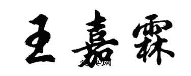 胡問遂王嘉霖行書個性簽名怎么寫