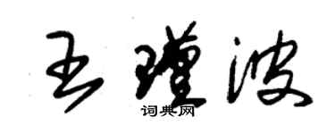 朱錫榮王瑾波草書個性簽名怎么寫