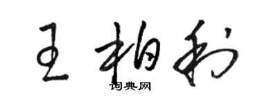 駱恆光王柏利草書個性簽名怎么寫