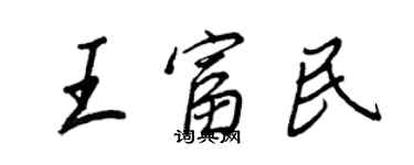 王正良王富民行書個性簽名怎么寫