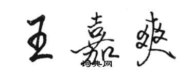 駱恆光王嘉爽行書個性簽名怎么寫