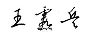 梁錦英王霞兵草書個性簽名怎么寫